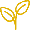 feuille RSE